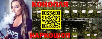 крисы Пенза