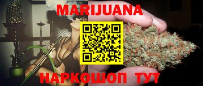 крисы Пенза