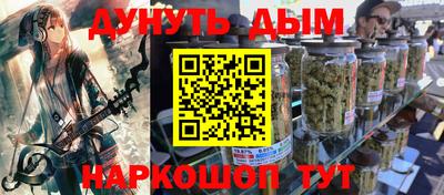 крисы Пенза