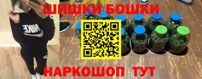крисы Пенза